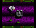 XP8_ AGA _12